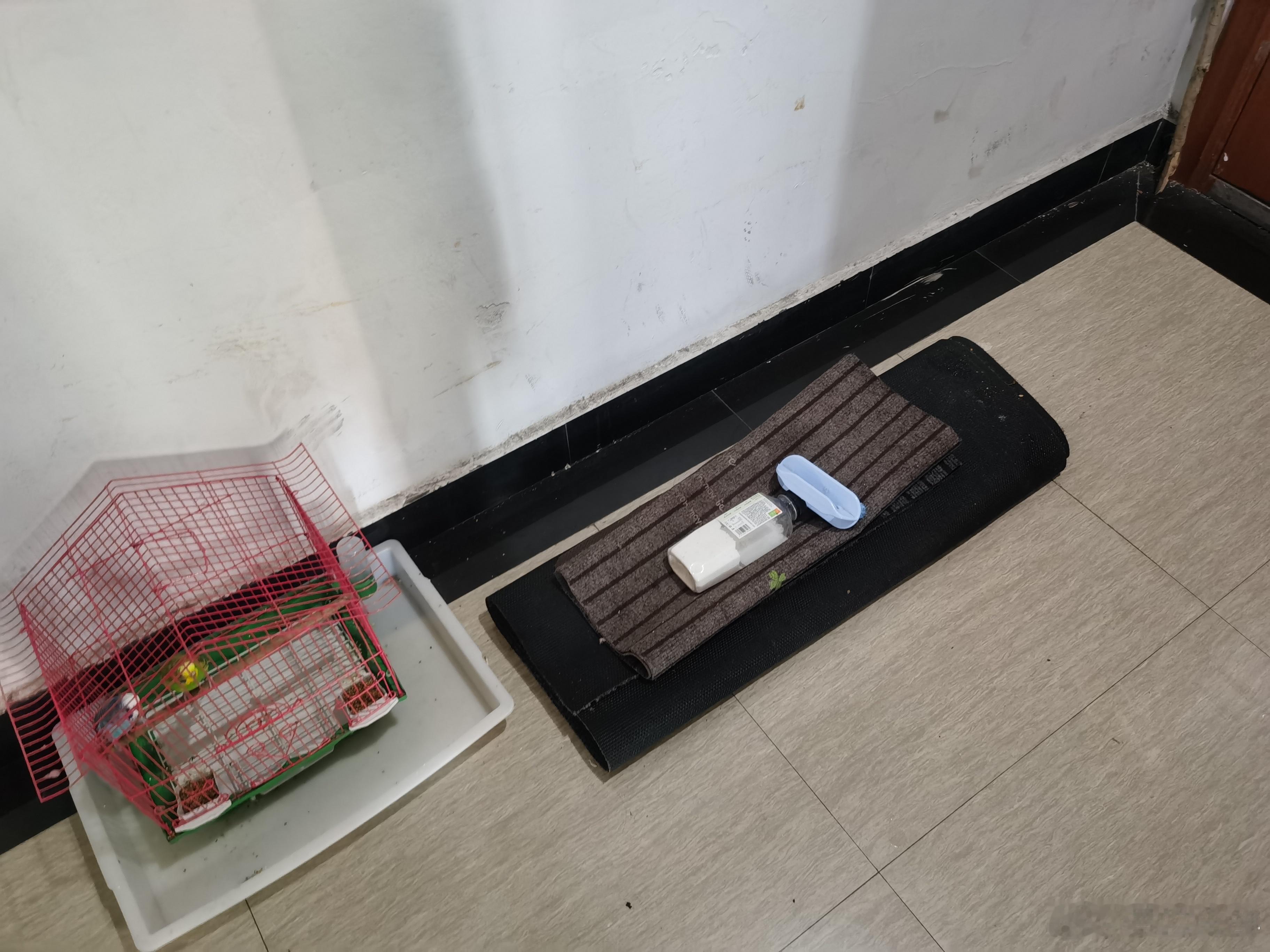 在家收拾卫生，怕我妈来搞不停，先搞好先。，现在去洗厨房地毯 ​​​