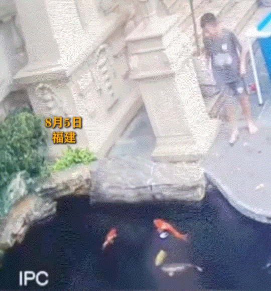 心碎一幕！福建一男孩出门找狗时，突然发现爱犬已溺亡鱼塘。眼见狗狗冰冷地漂着，他瞬