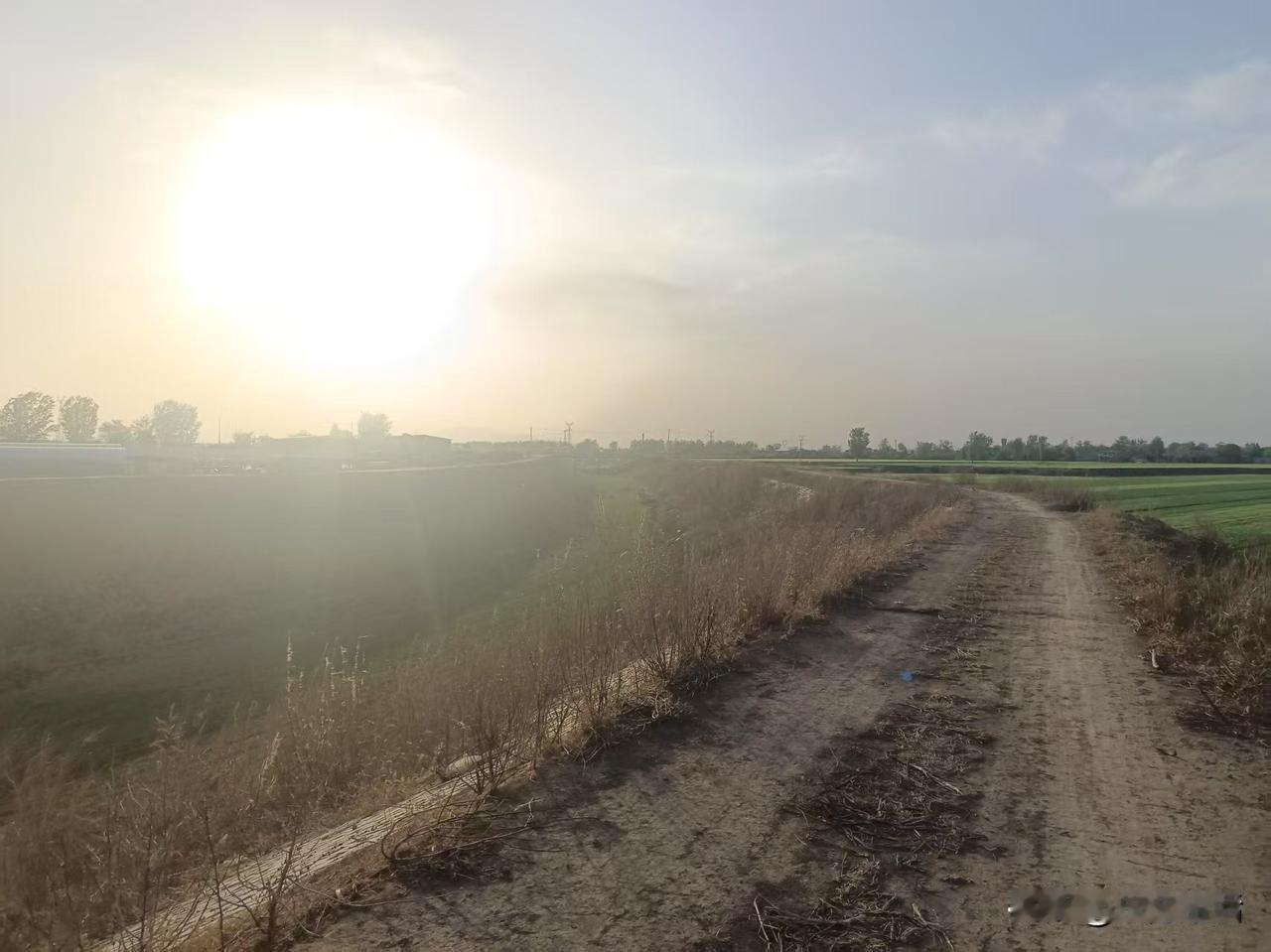 梁东方
我在荒草萋萋的泥河大堤上站定了看，眼前顽强地从泥坝上钻出来的一丛小杨树的