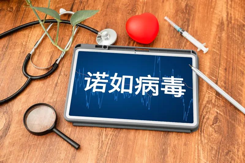 朋友叮嘱我要留意身体，在这容易染上疾病的时节，这话实在是太贴心了。秋冬之际，气温