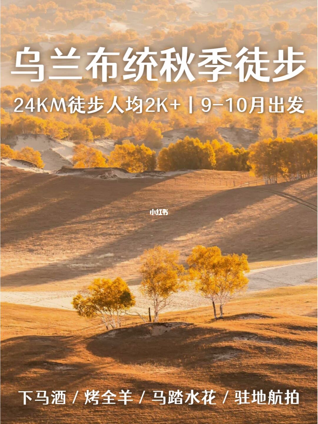 内蒙古徒步组队🍂行摄乌兰布统的秋季童话