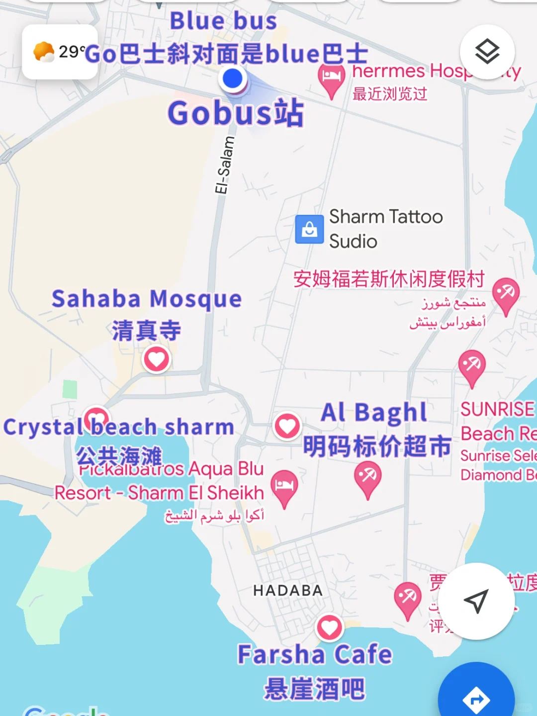 如果时间够用，一定要来沙姆沙伊赫，详细攻略