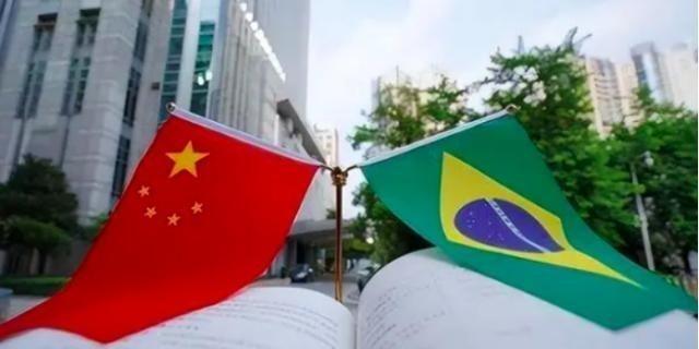 欠了中国八百亿，还想抵赖不还，结果最后把自己国家玩破产了！巴西总统伯索纳罗让大家