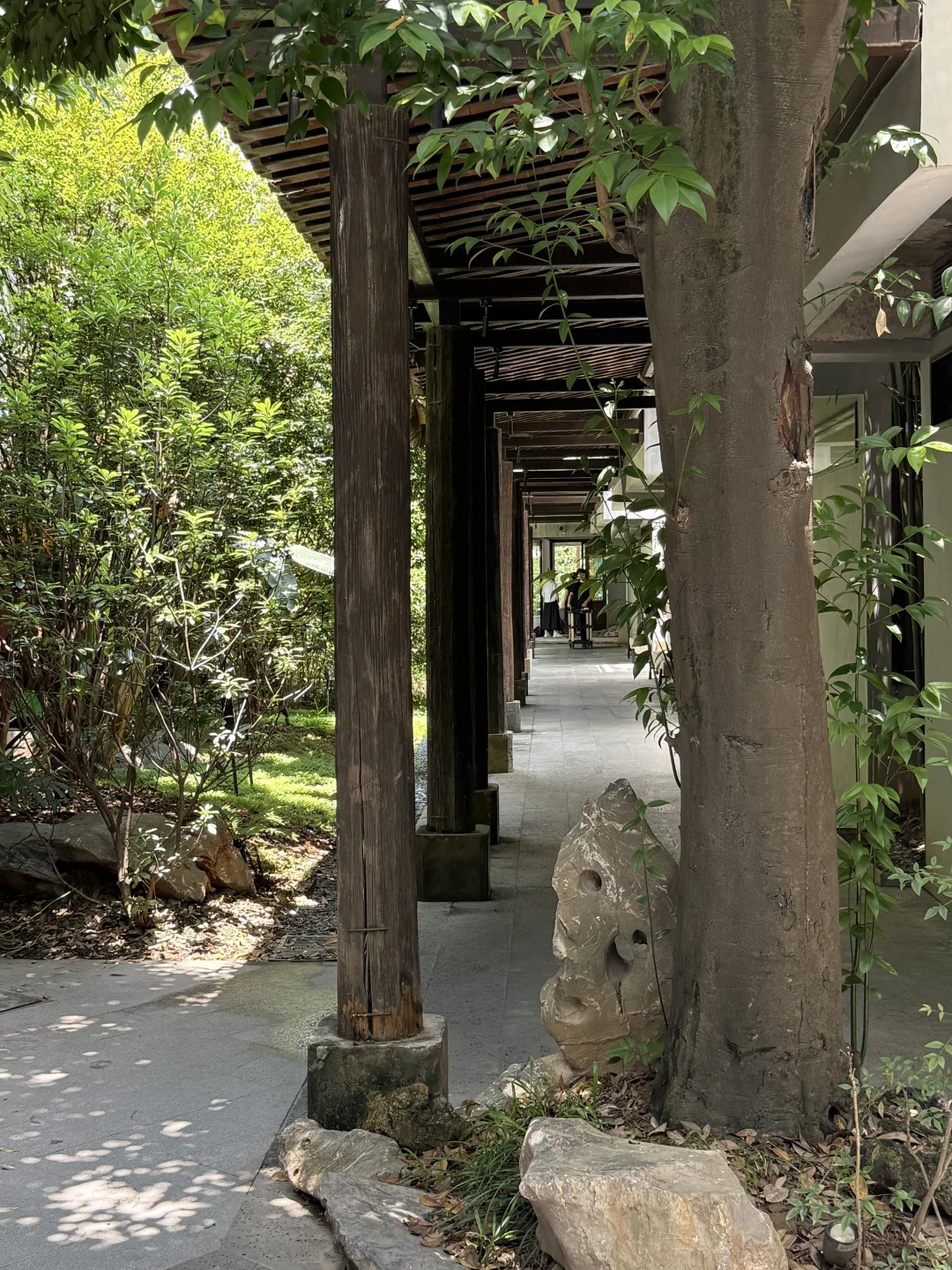 佛山居然还有这种神仙地