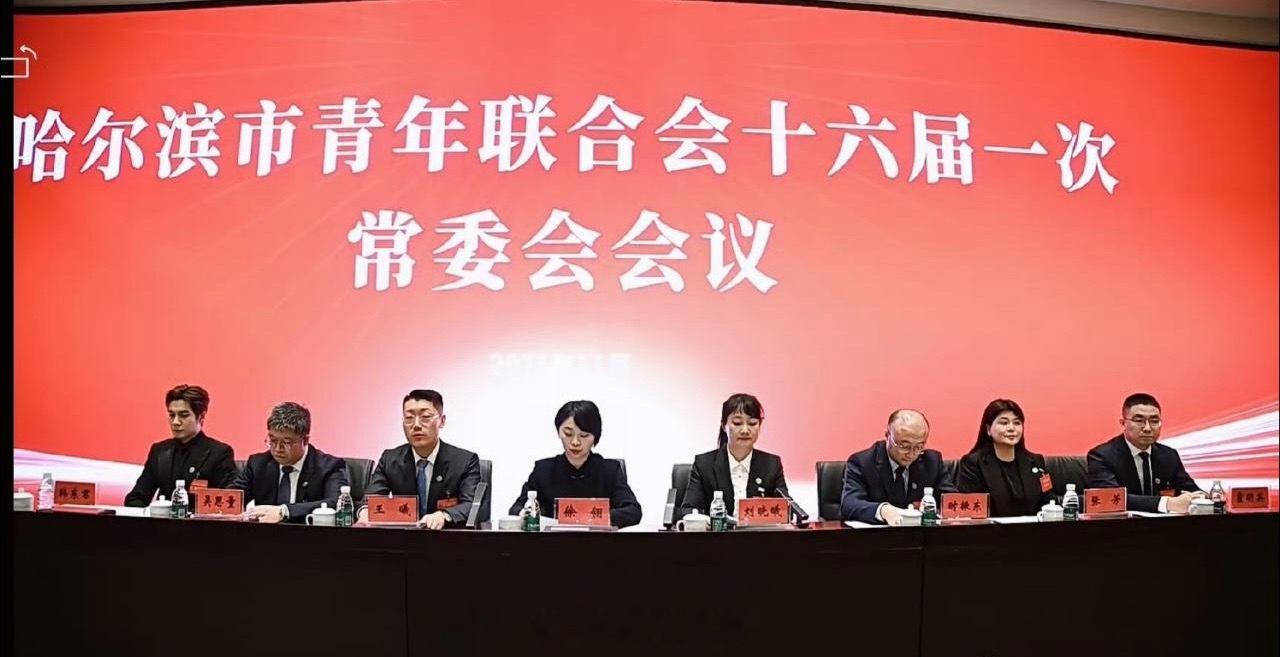 哇哦，在哈尔滨市青年联合会十六届一次常委会议上看到了韩东君。