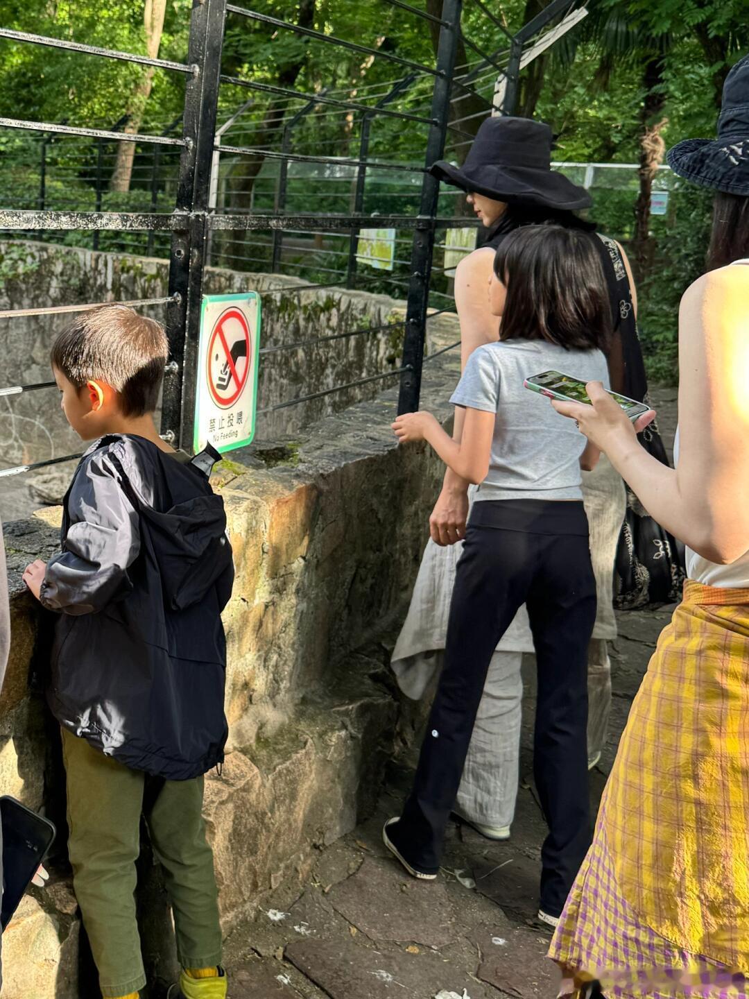 #上海动物园偶遇黄多多##上海动物园偶遇孙莉一家# 上海动物园偶遇孙莉一家，三个