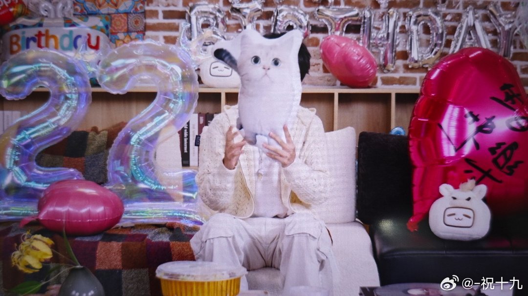 猫咪来惹🐱 