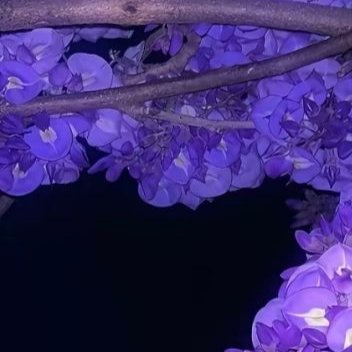 每日一善💜阳光信用💜每日一善能为别人开花的心是善良的心，能为别人缤纷的赞美是