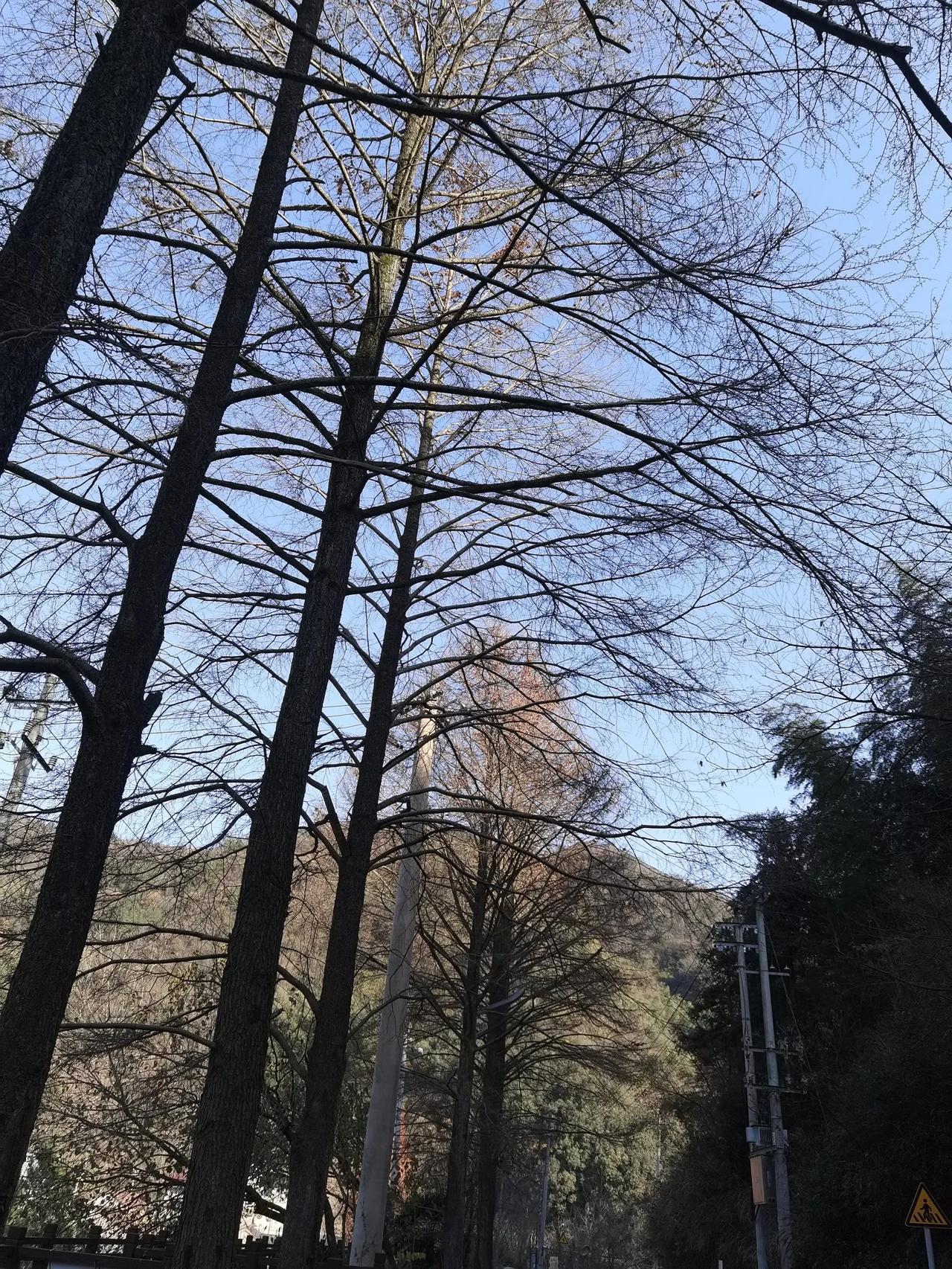 又到十二月了，也是老年大学学员最忙碌，学员之间矛盾的频发期。
期末，学校年终的汇