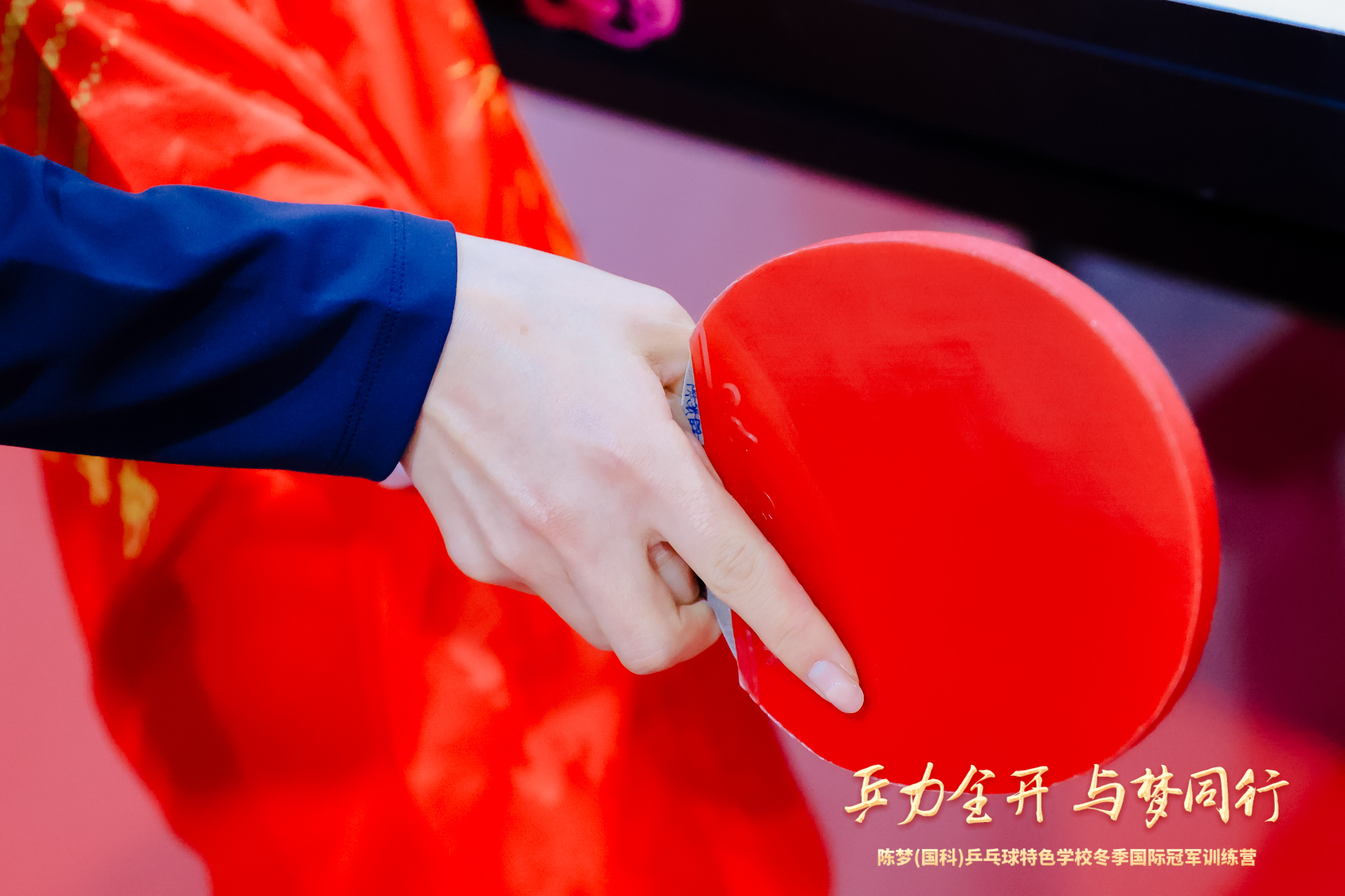 1️⃣0️⃣老婆的手好漂亮【】陈梦 陈梦（国科）乒乓球特色学校，冬季国际冠军训练