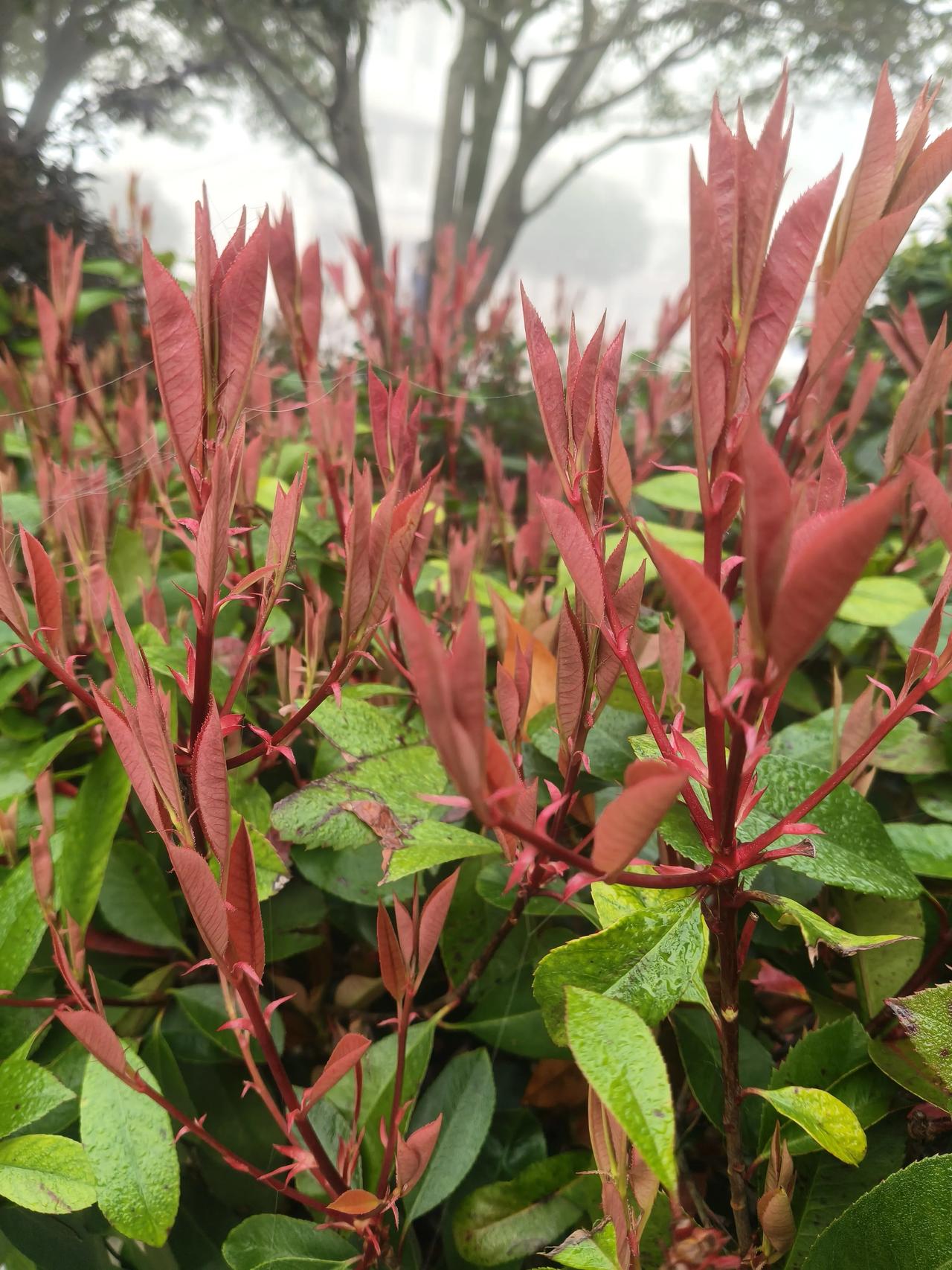 所有不好的都会过去，只要认真过好每一天，日子就不会太差