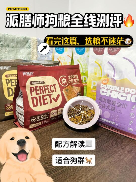派膳师狗粮测评！选粮不迷茫