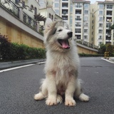 萌颖读读社会