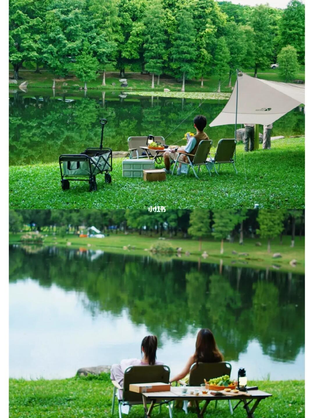 天呐❗️东莞这个露营地是来报恩的吧