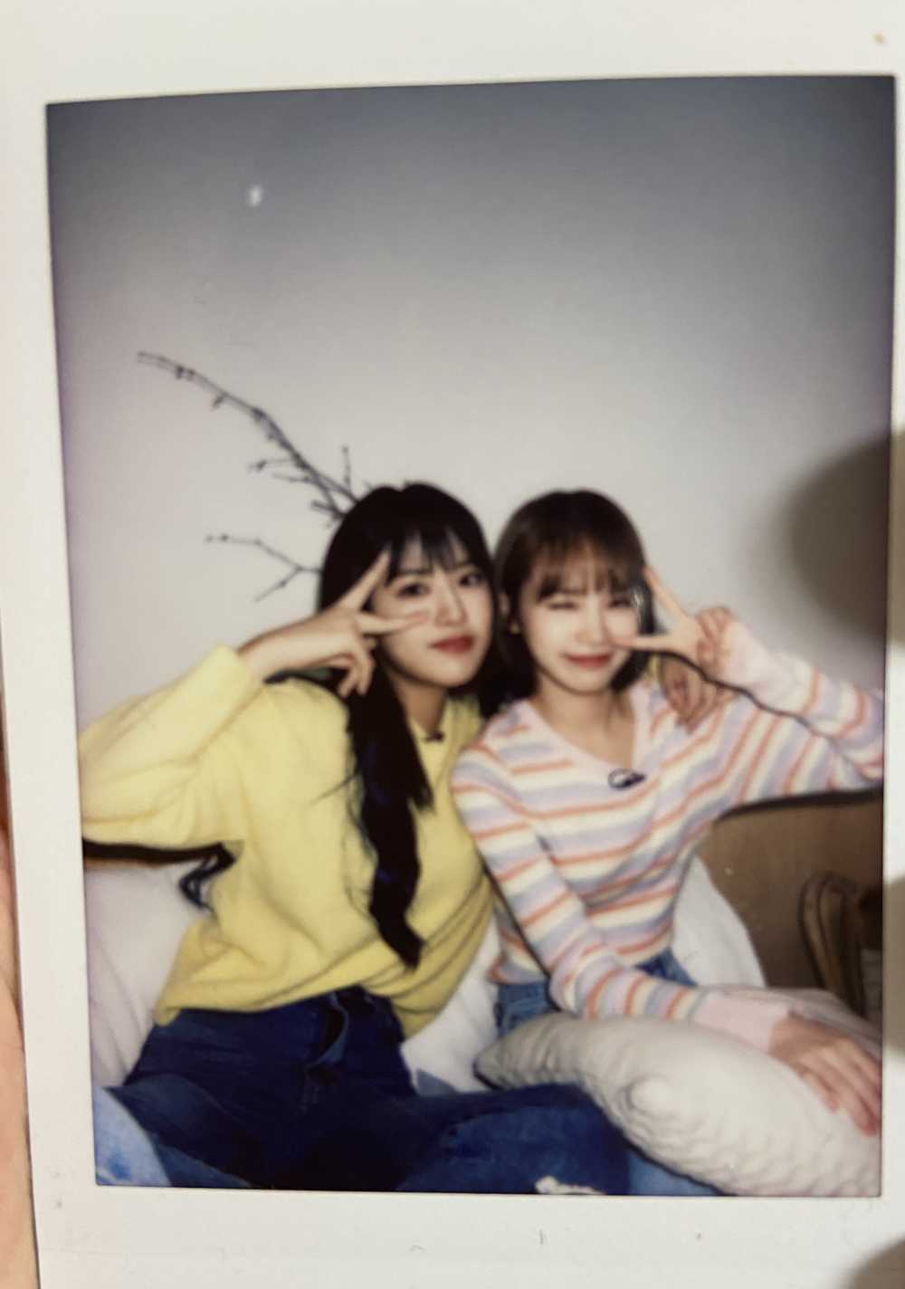 IZONE[超话]  演子拍的宥采安宥真金采源 ​​​