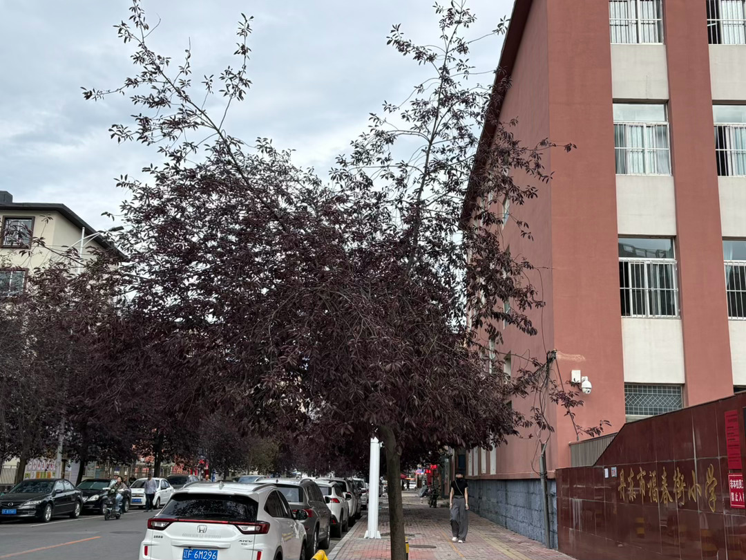 一旦你旅行过，旅程就永远不会结束，它会在心灵最静谧的房间里一遍又一遍地重演，心灵