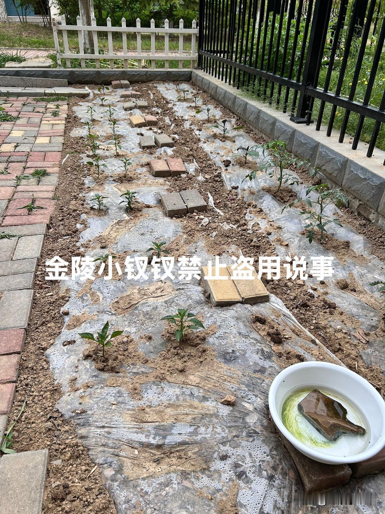今天是5月2号，一早起来，孩子们开开门就到小院玩耍了，再也不是住在城市钢筋混凝土