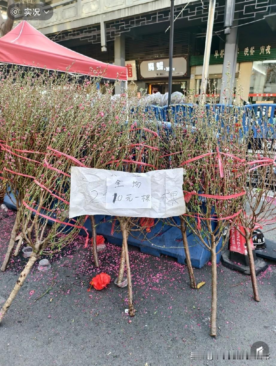 佛山花市10元抱走大桃花
 
佛山街坊们，谁懂啊！祖庙迎春花市最后一天，直接开启