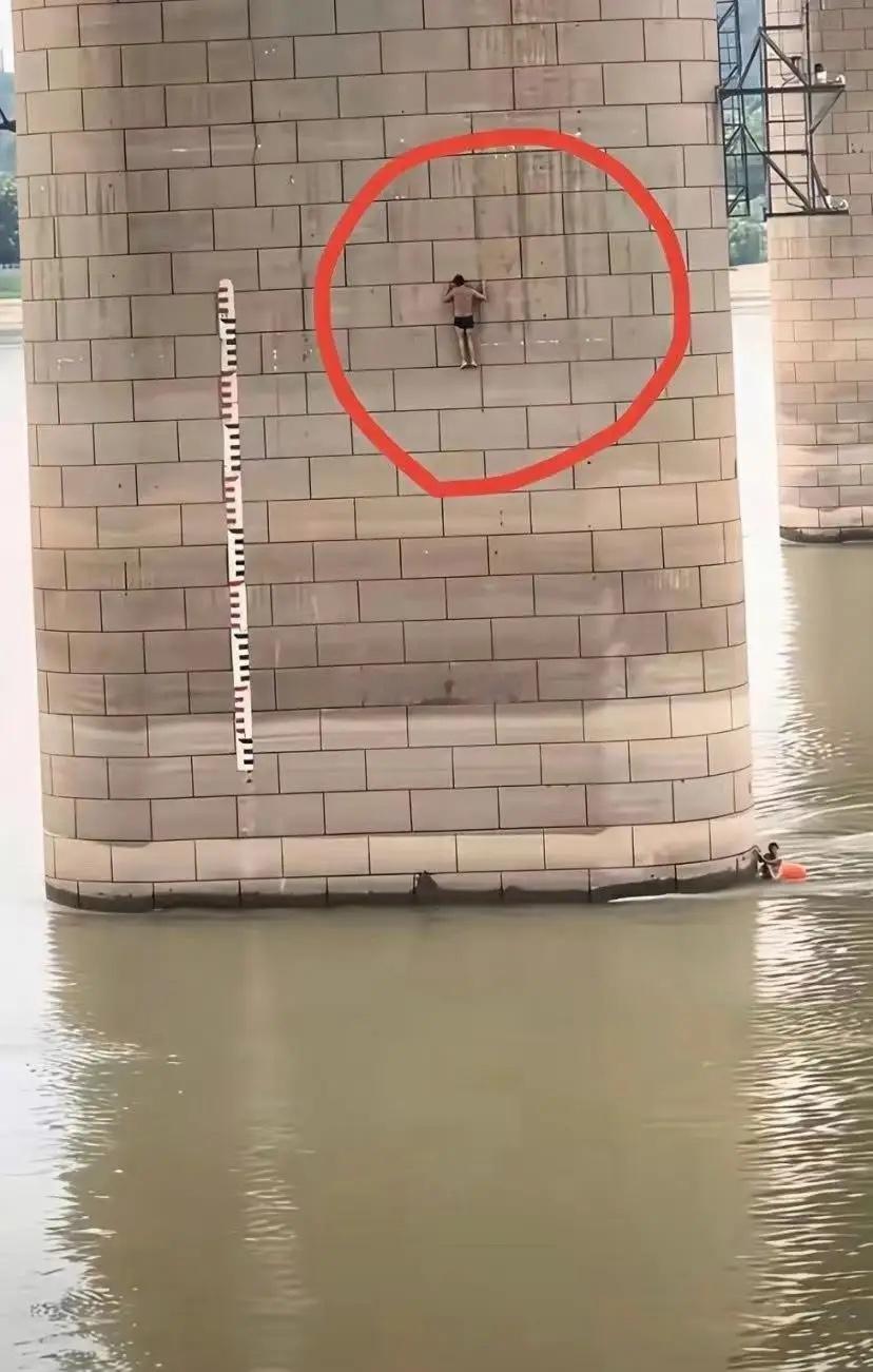 还是太厉害了，不知道他是怎么爬上去的 