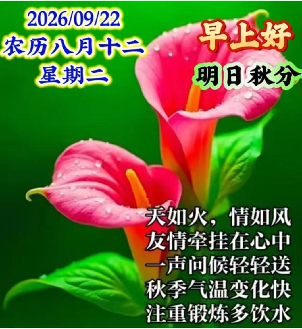人间友爱一片金，
相互牵挂心连心；
感恩今生能相遇，
亲情友情贵如金；
人生难得