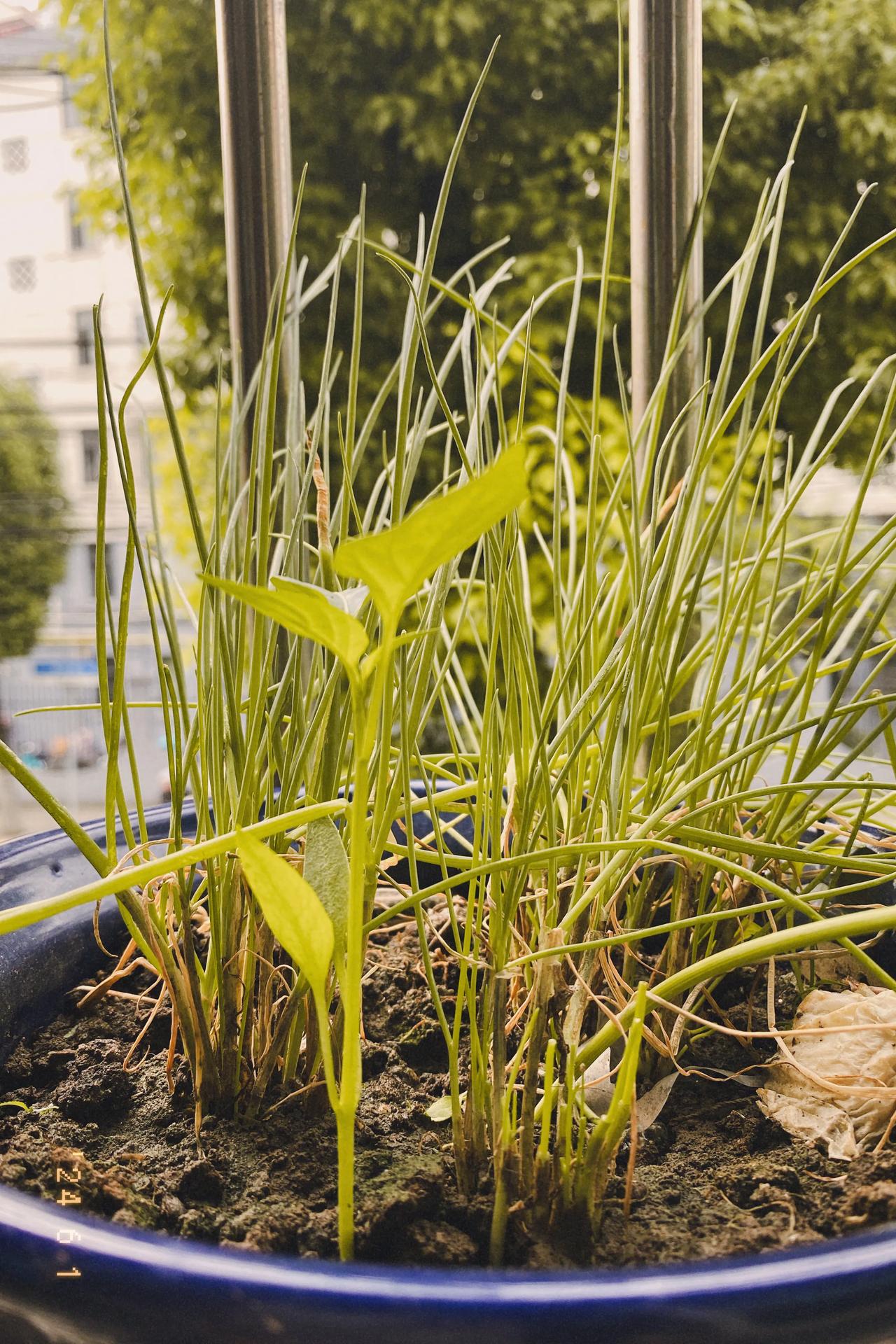 一觉醒来，又是新的一天，真好！

经过前半夜的沮丧和挣扎，后半夜终于睡着，醒来后