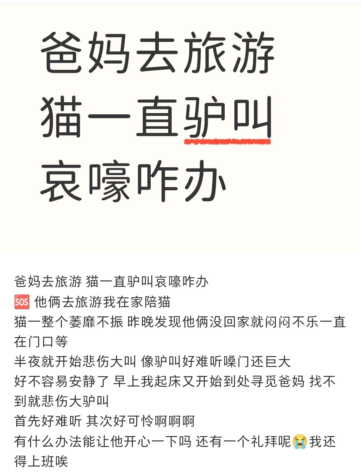 养宠家庭，爸妈去旅游，留守家里照顾猫的我惨了[允悲] ​​​