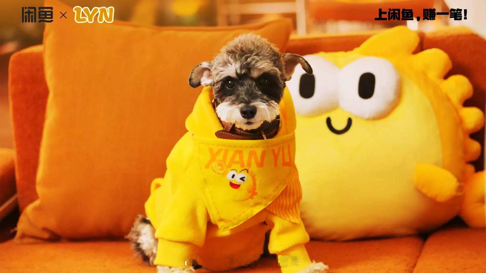 刘宇宁小贝 🐾刘宇宁玫瑰丛生 🐾刘宇宁的2025巡演  🐾摩登兄弟 捕捉到