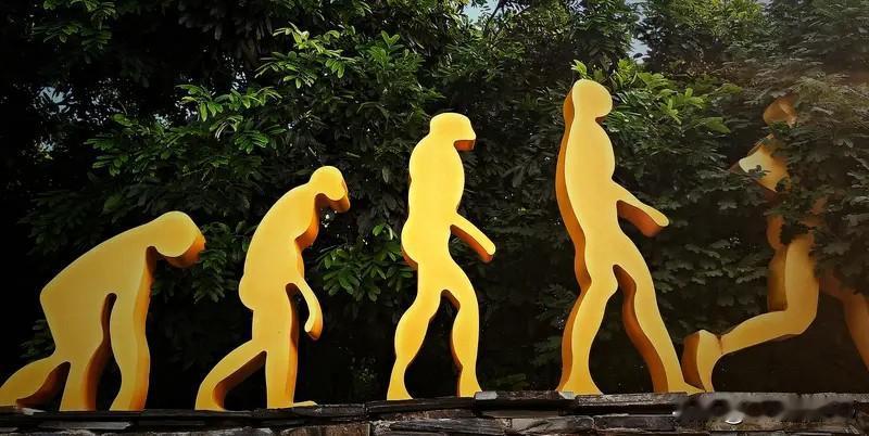 不婚不育的年轻人以后会后悔吗?人类的世界都是装扮的。、都是形容的。、传统的标志。