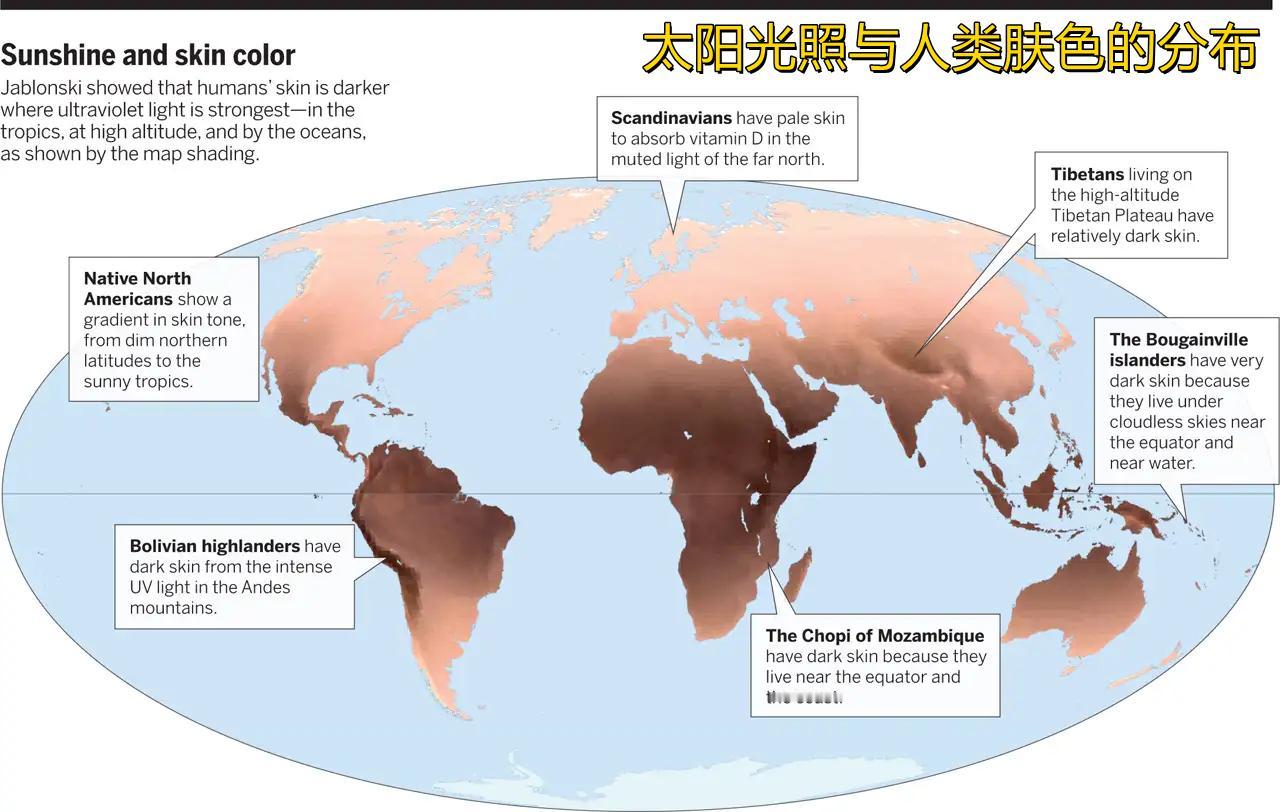 看不少人对人类肤色和有色人种误解太深，人类肤色的全球分布，本质上是太阳（紫外线）