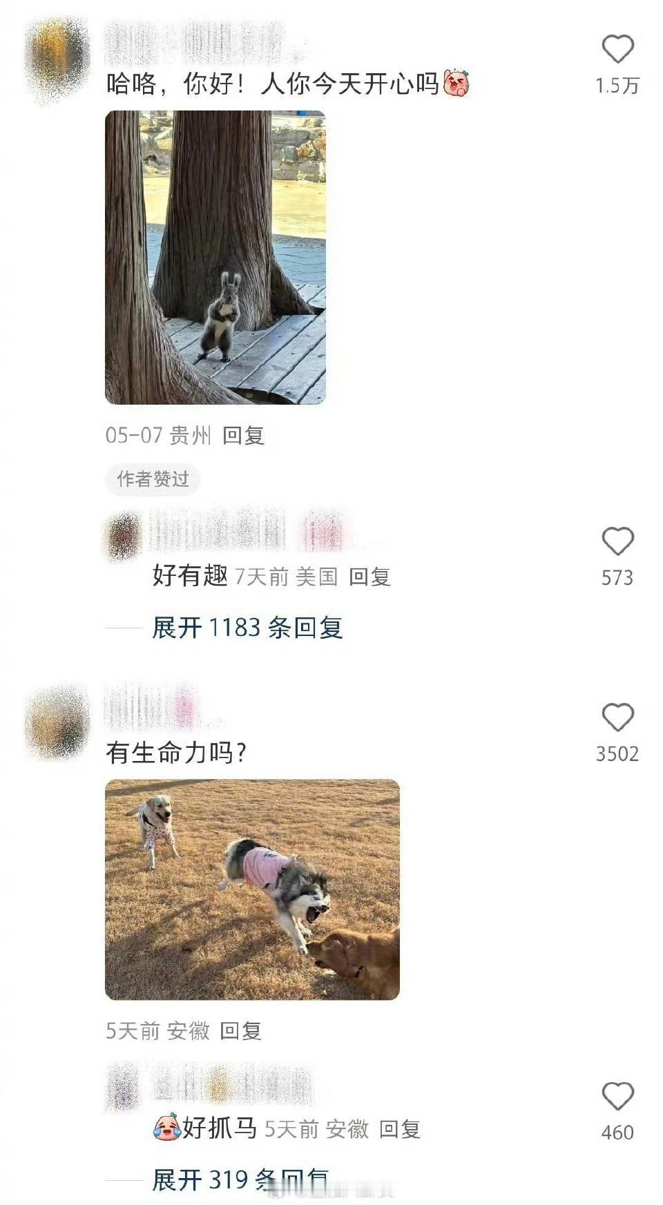 人，你今天开心吗？ ​​​