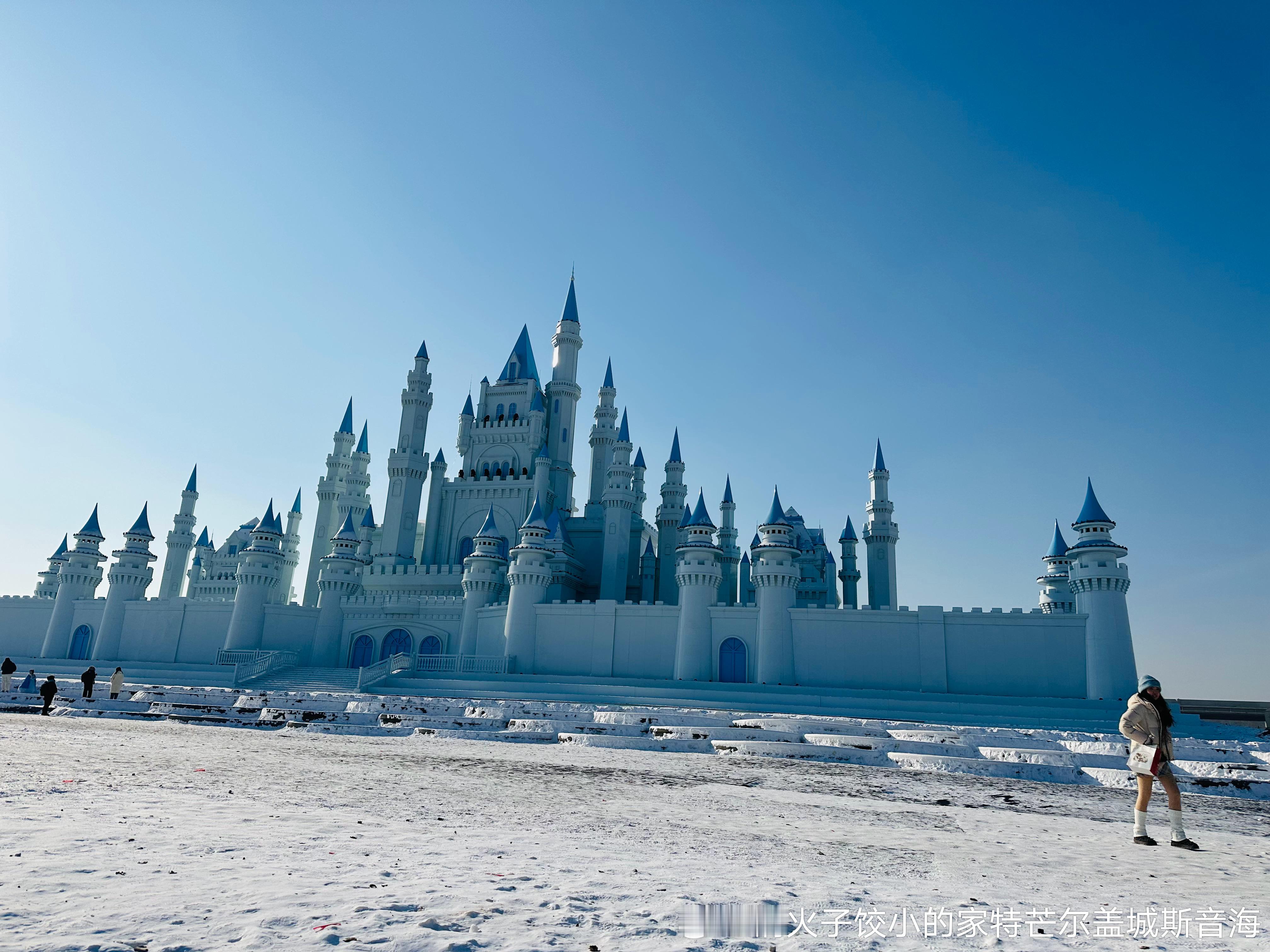 今天真是太冷了！好想骑这条浑身斑点的斑马！这个大🏰挺好看！好想领养这只看起来像