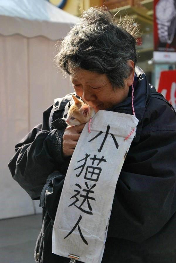 我可能不能陪你长大了，帮你寻找更合适的主人！