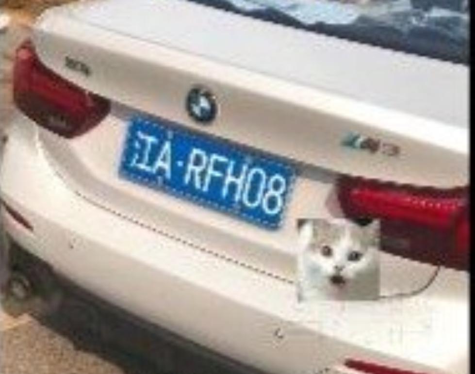 短剧演员忘摘道具车牌被查！泡沫板遮号+裸车上路，这些坑千万别踩
 家人们谁懂啊！