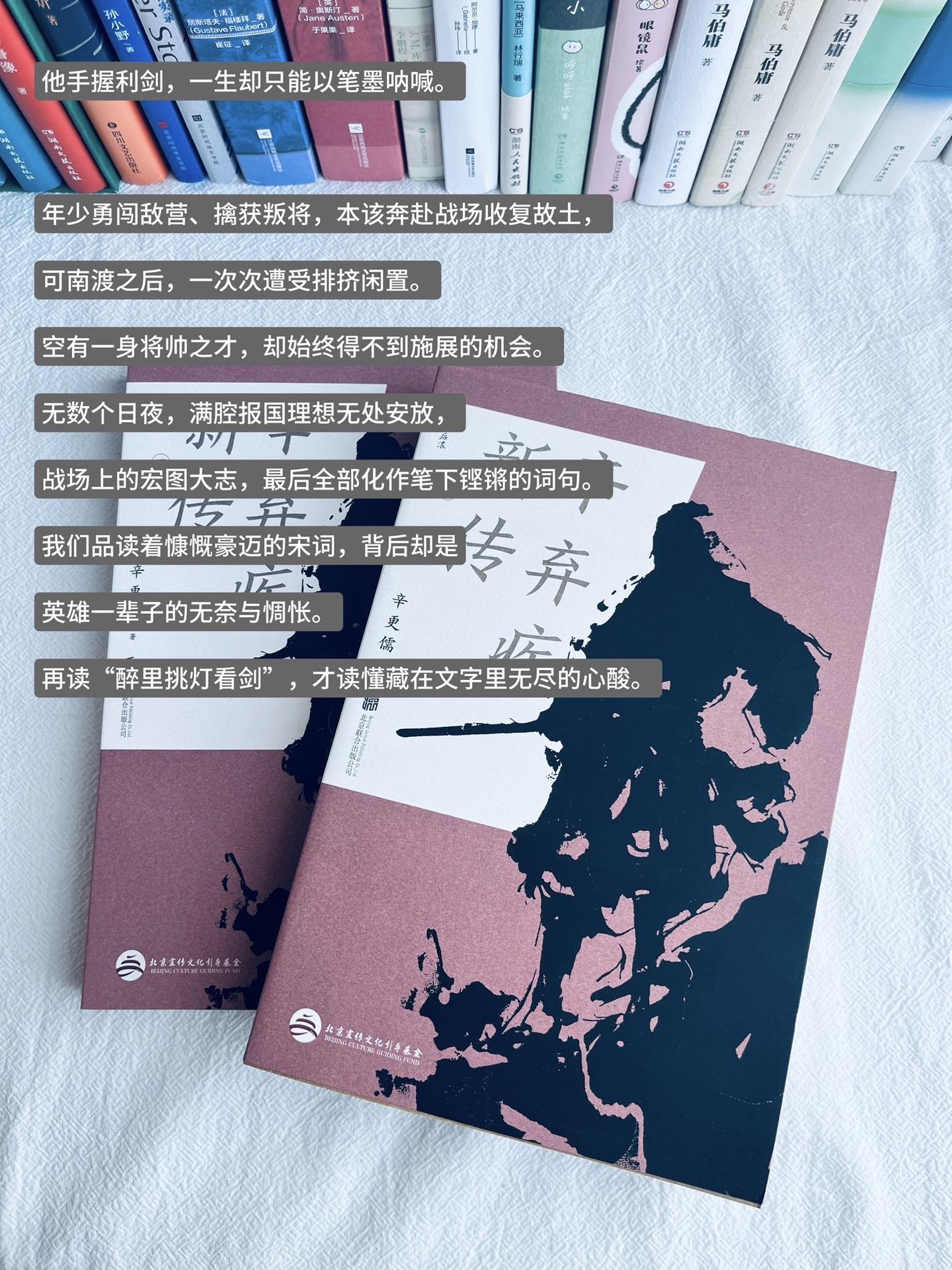 剑藏于匣，心向沙场，这便是辛弃疾的一生。他并不是一个坐在书房写诗的文人...