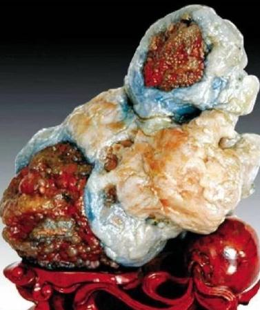 1993年，一牧民答应将一块拴羊的石头5万元卖给一广东人。谁料，正要交易时，牧民