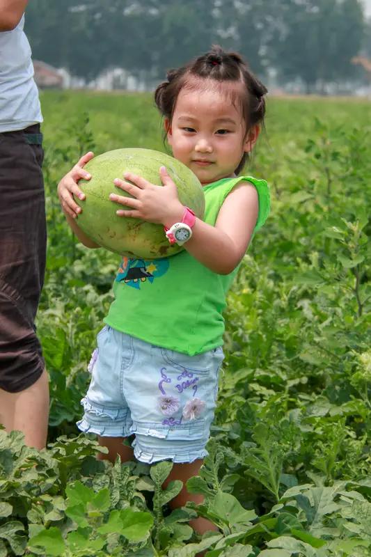 近日，郑州一位95后女孩李醒，偶然听到瓜农父女的对话，得知他们因西瓜滞销，孩子学