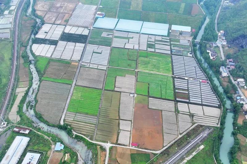 如果农民交出土地，谁来管理 农民把土地交出去之后，管理的主体有不少情况呢。在村子