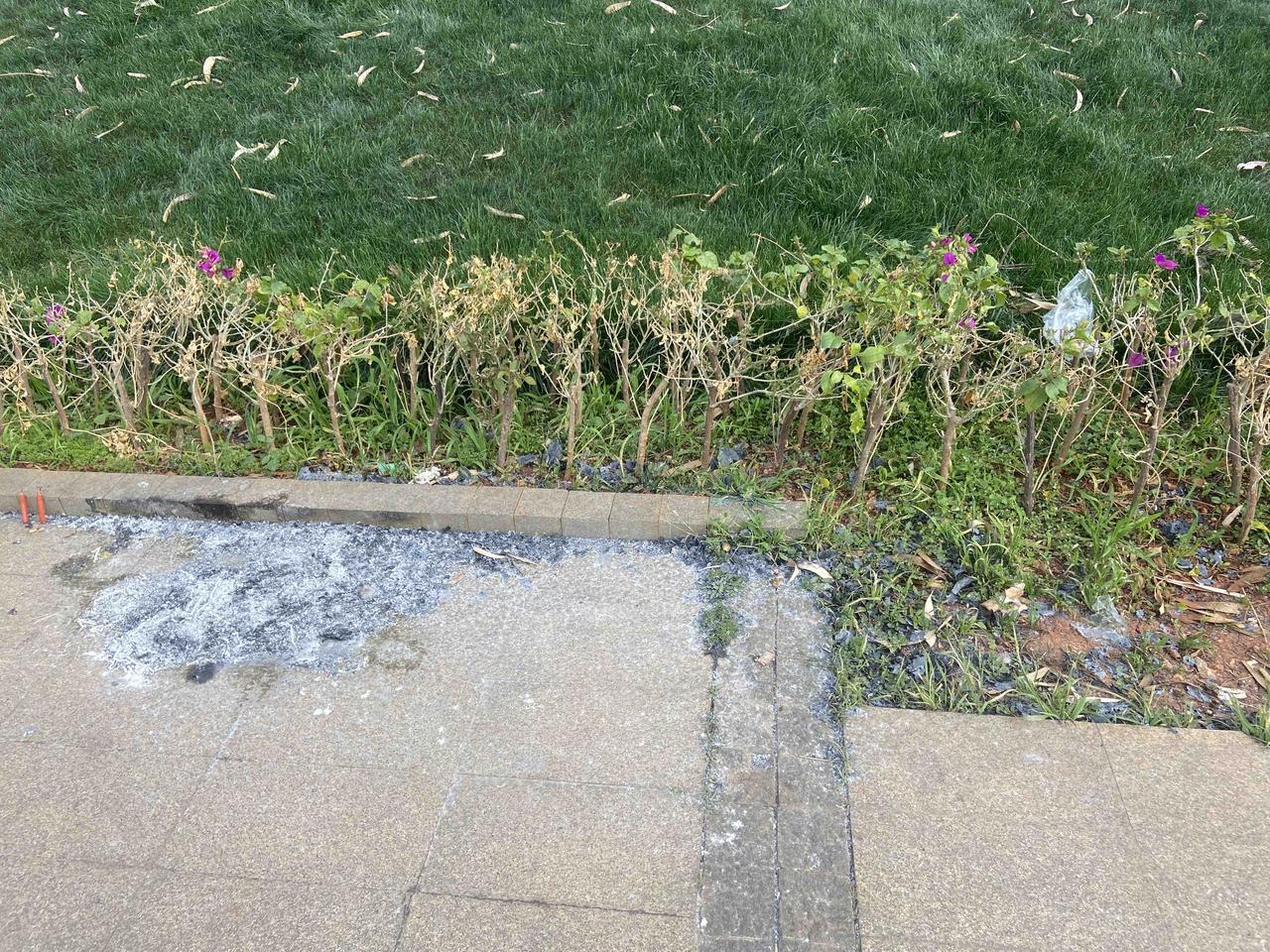 清明节出来散步确实会遇到很多不好的东西，主要很多人太懒，不清理干净。
路边，河边