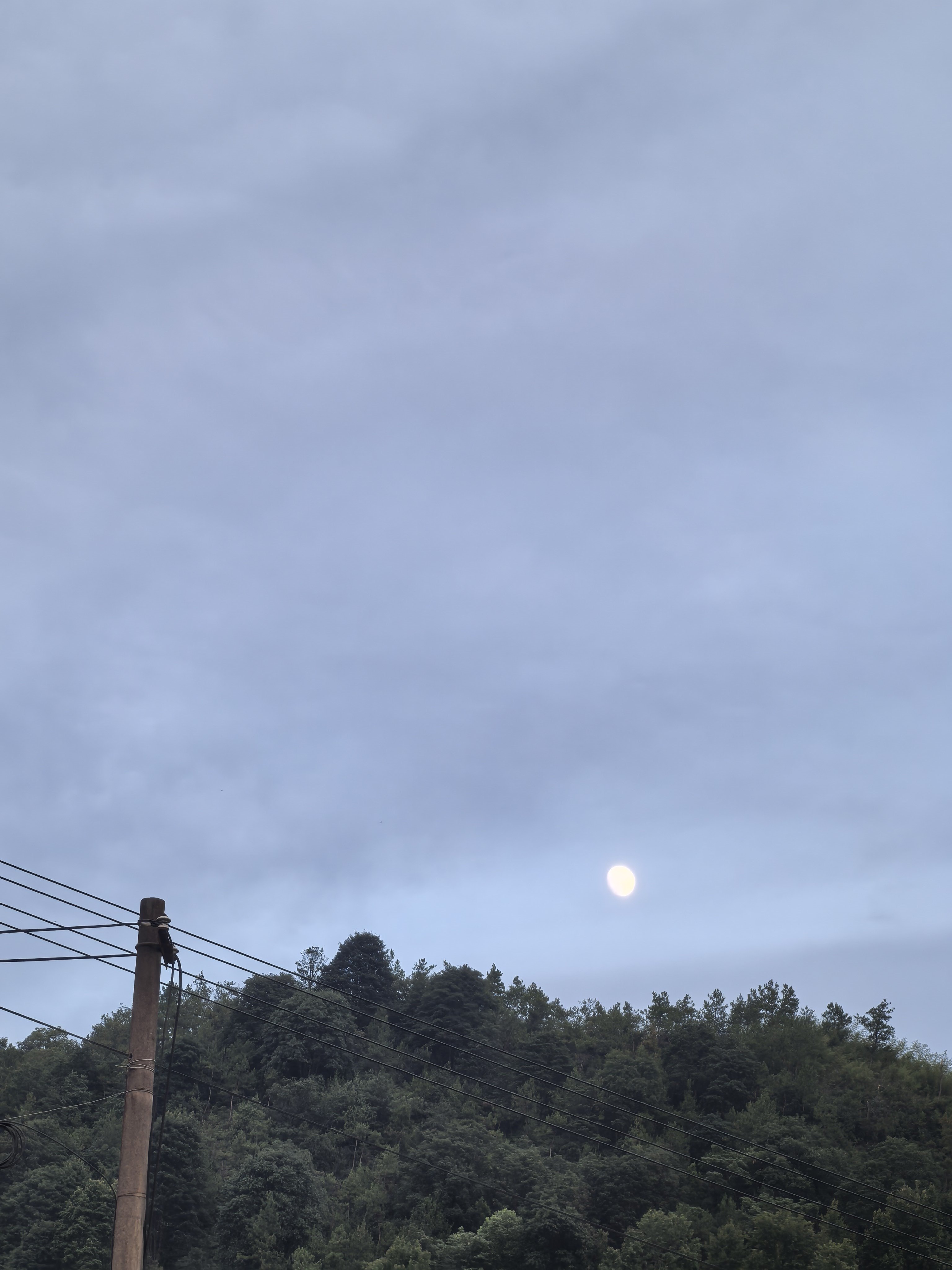 今天傍晚没有好看的夕阳可是有很舒服的风 