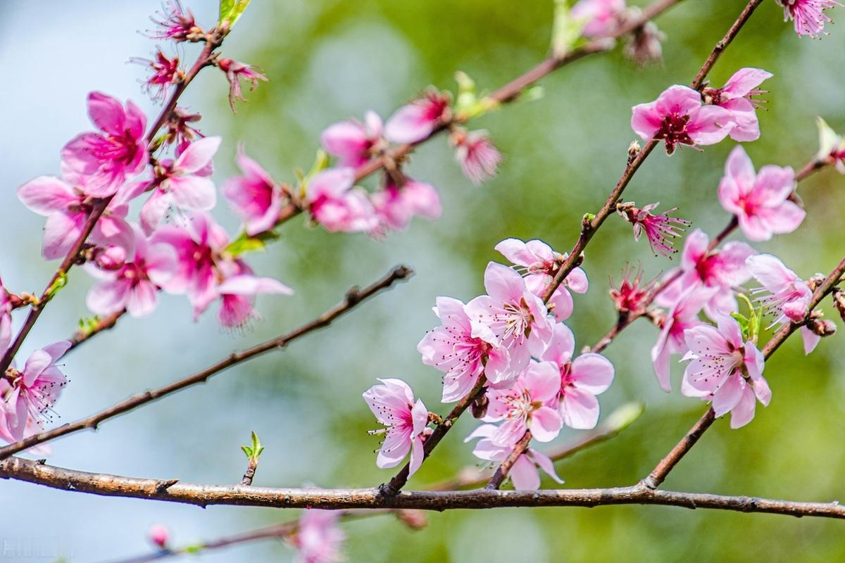 面对危机别害怕，因为世界上有棘手的问题，呈现在我们面前的就总会有解决问题的办法，