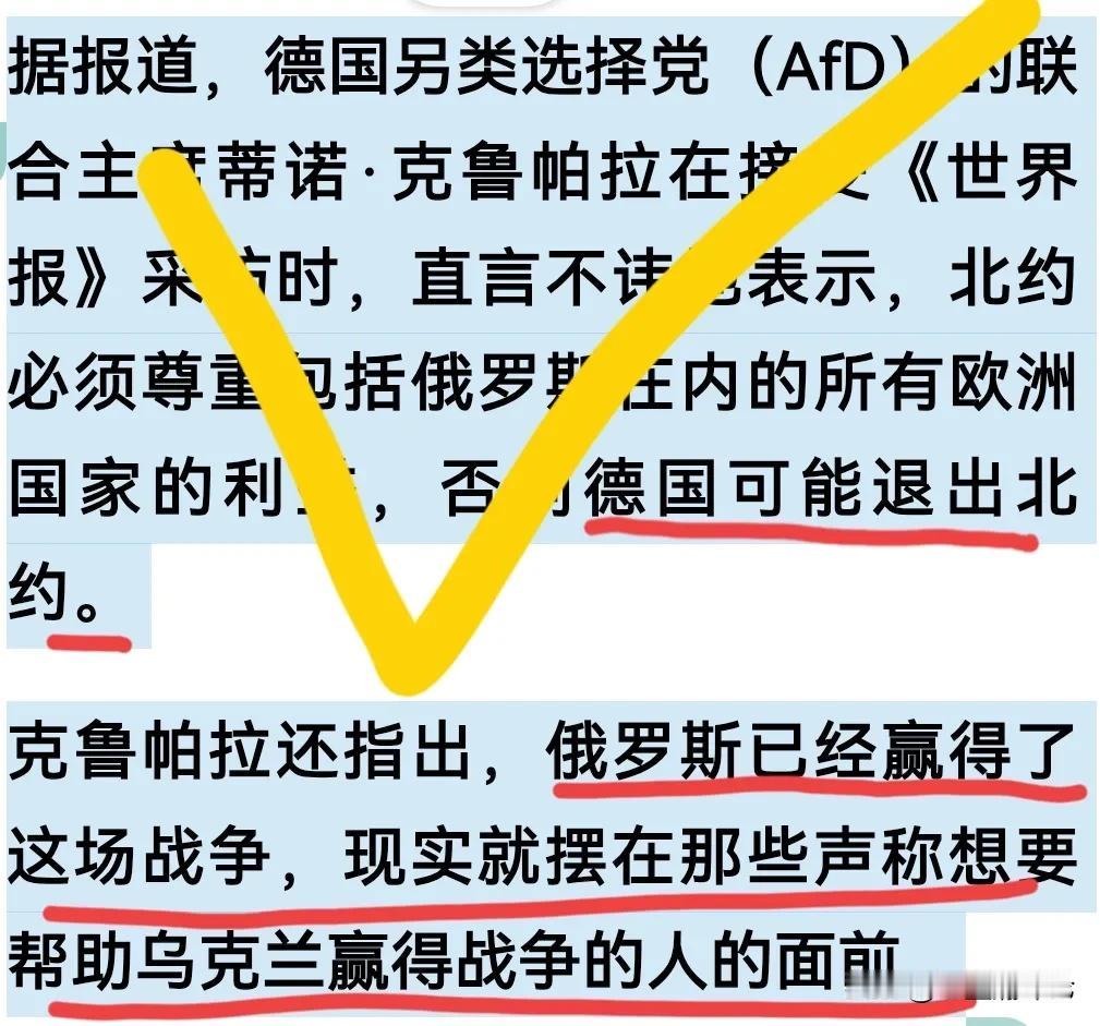 我突然发现在德国有正常思维的团体就是德国选择党。
德国选择党目前拥有两位联合主席