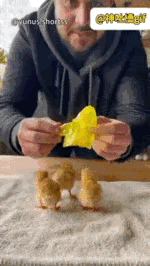 还别说，
这个还是挺会创意的。