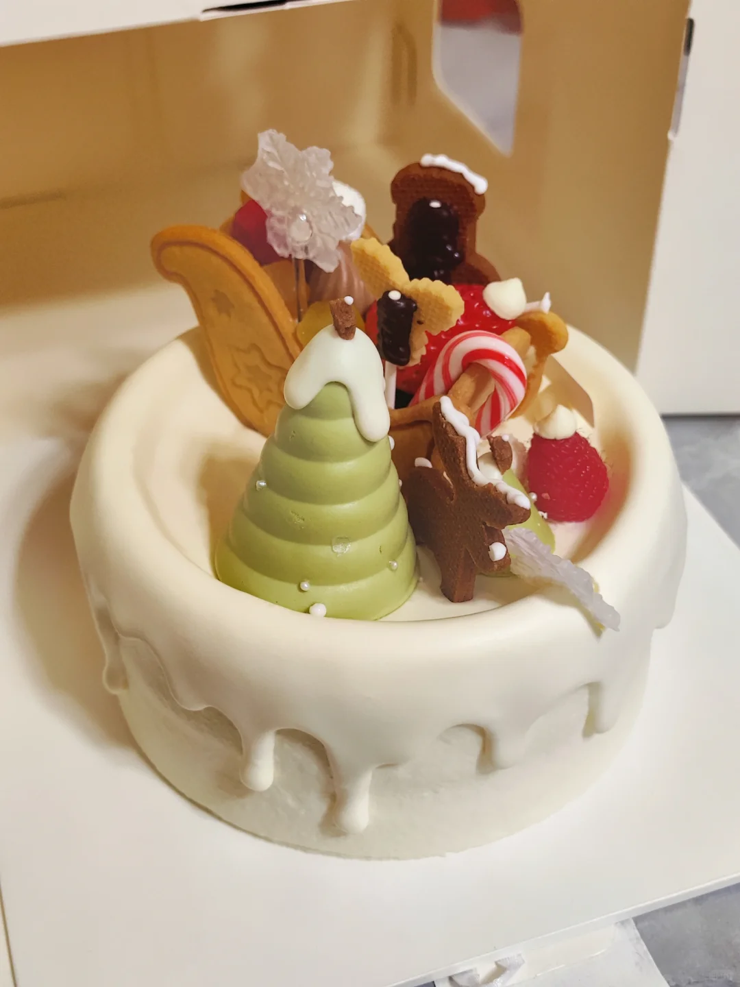全是圣诞🎄彩蛋的蛋糕！！太惊喜了！！