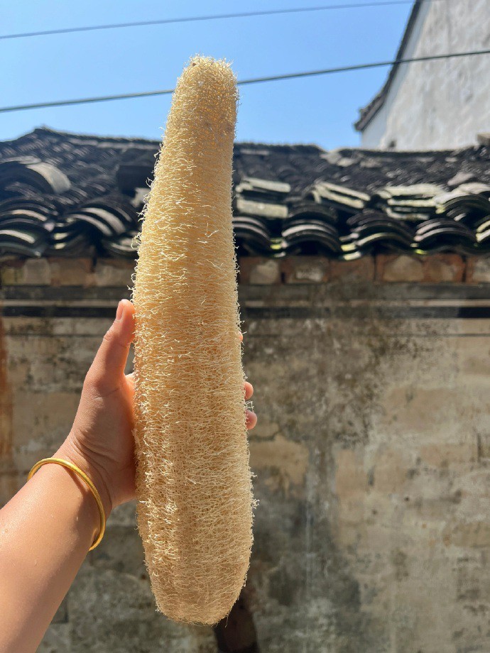 小人间,小人物,小欲望,小美好,小安慰,小快乐！ ​​​