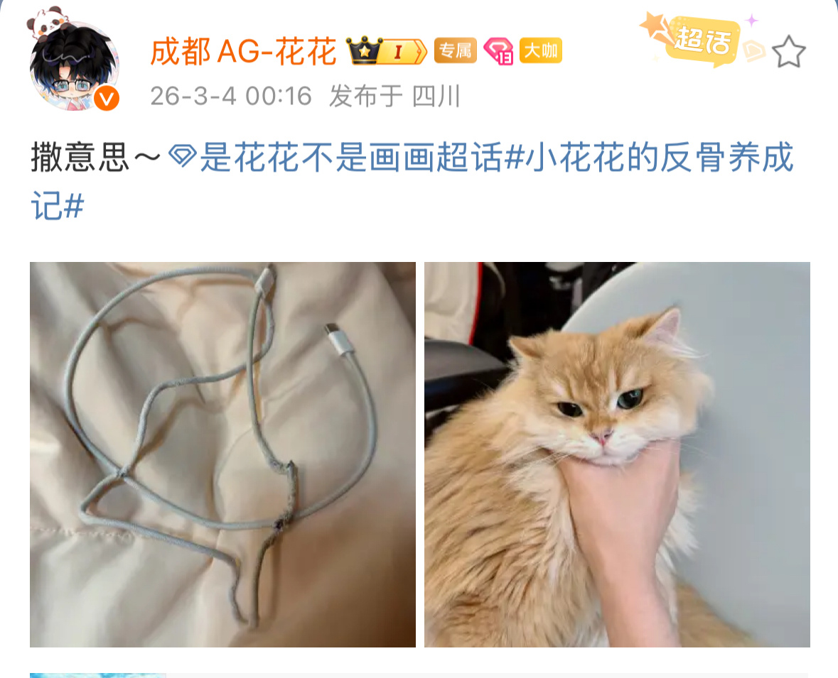 花花登场pel四周年 荔枝的眼神没有丝毫悔改的意思2026pel春季赛