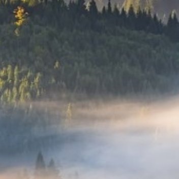 养养 慢慢明白，人生的福气，藏在心态里。同样的生活，有人终日烦闷，有人岁岁安然。