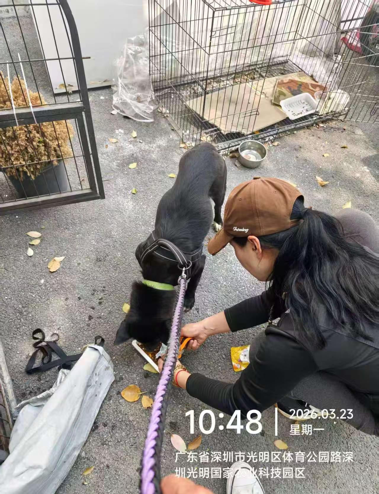 感谢唐小姐，感谢老李！顺利解救了。热点