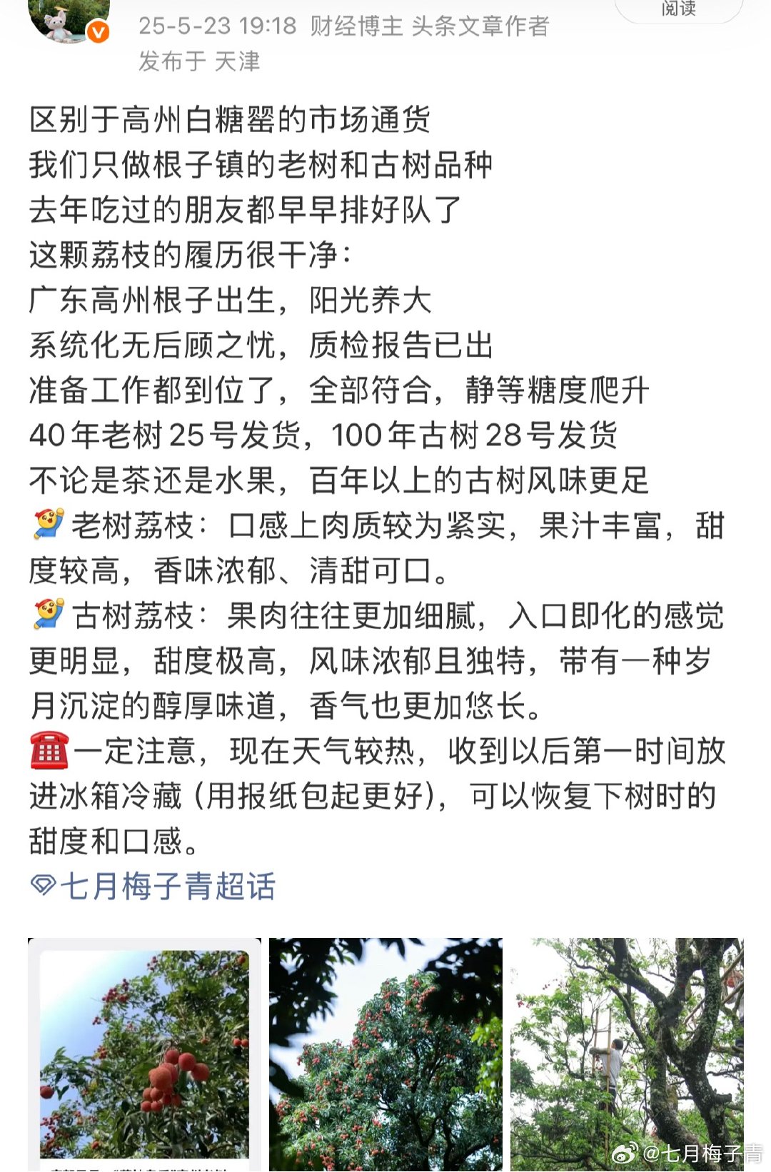 去年广受大家好评和期待的高州根子白糖罂还有不到十天的采摘期了，小店链接已经先挂出