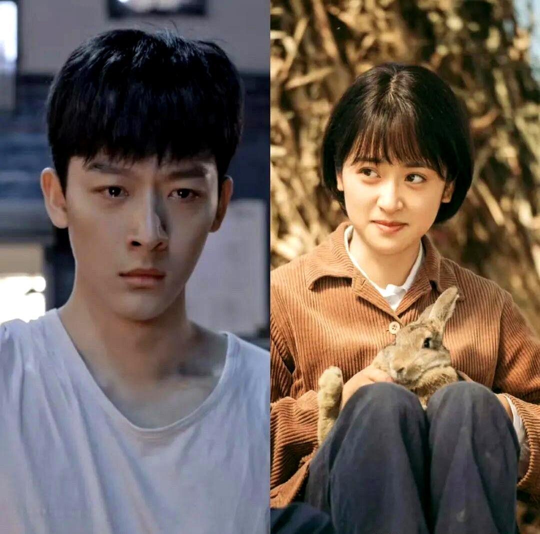 粉丝闹了15天，剧组全程没搭理。
 
张晚意粉丝的焦虑很实在。
 
他靠正剧攒的