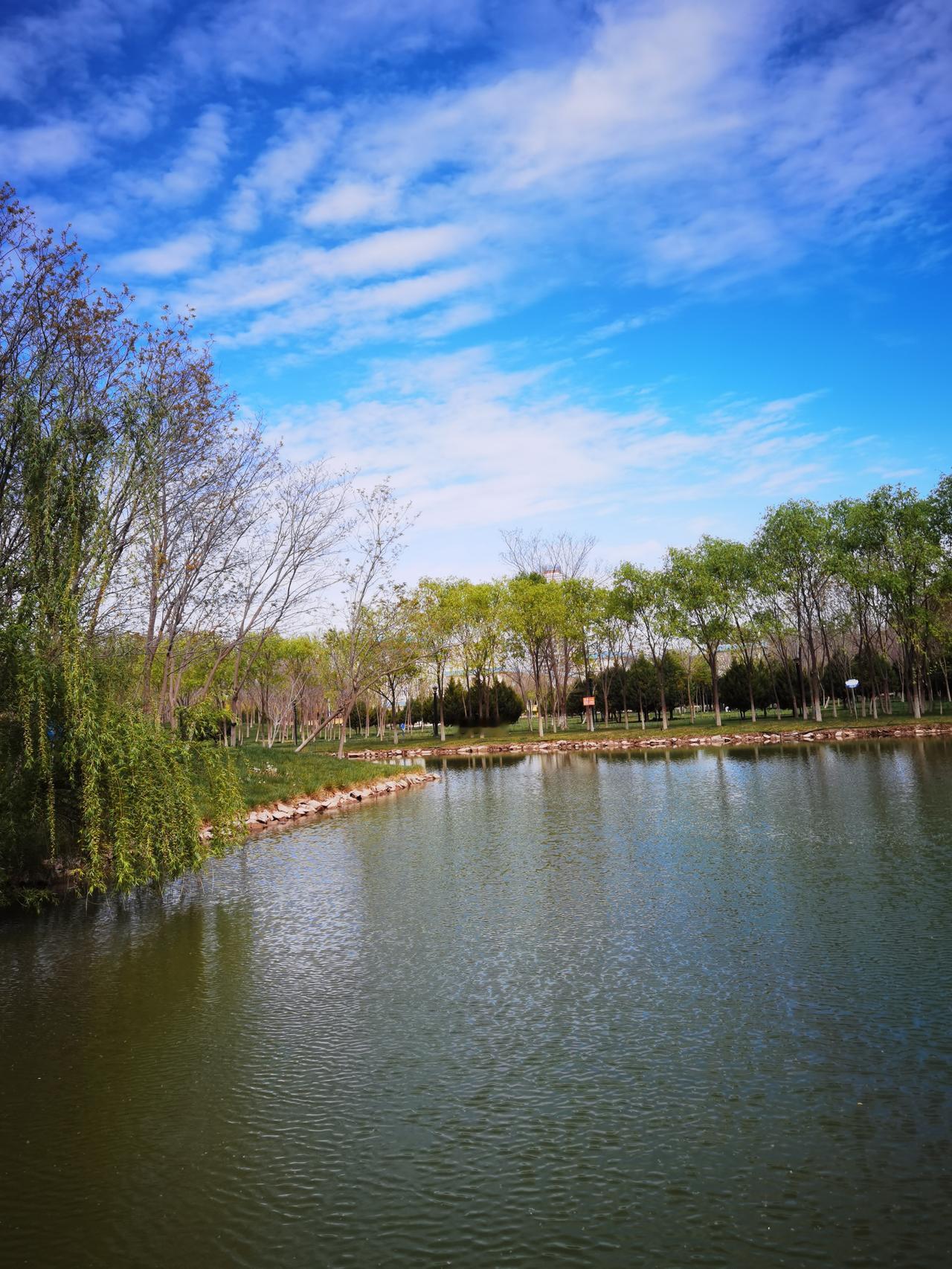 春与雨能反映出四季吗?
 春与雨不仅能反映出四季，还能述说四季的故事，让人们对四